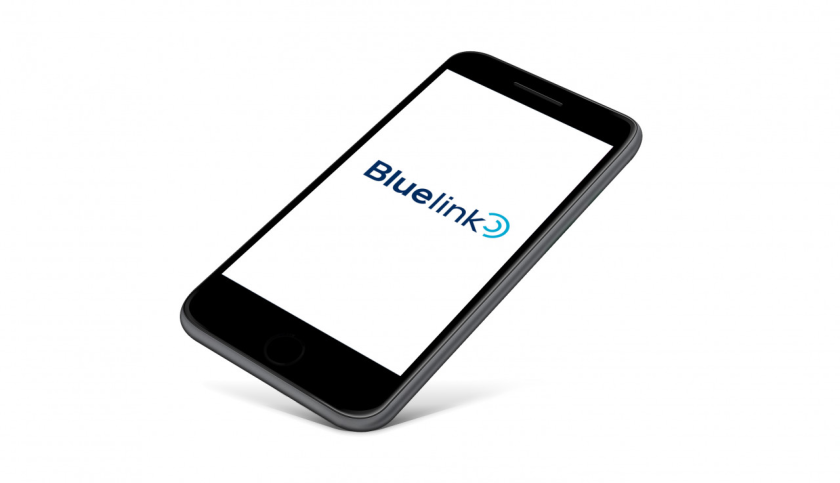 bluelink